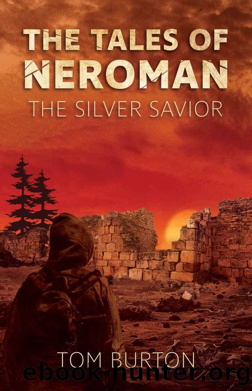 The Tales of Neroman by Tom Burton