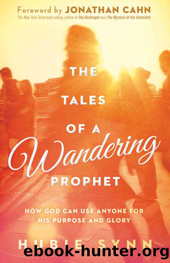 The Tales of a Wandering Prophet by Hubie Synn