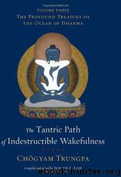 The Tantric Path of Indestructible Wakefulness by Chogyam Trungpa & Judith L Lief