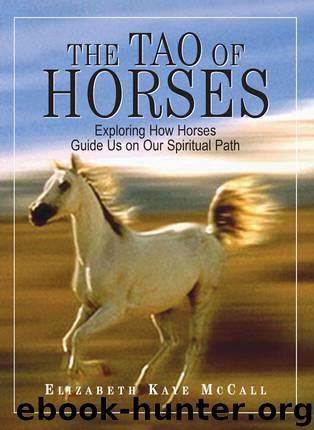 The Tao of Horses by Elizabeth Kaye McCall