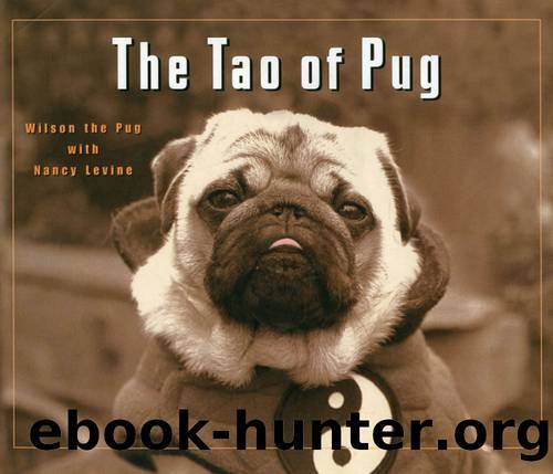 The Tao of Pug by Nancy Levine
