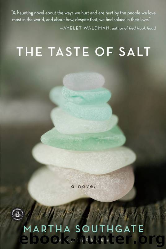 The Taste of Salt by Martha Southgate