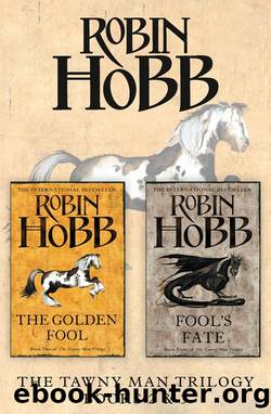 The Tawny Man Trilogy Books 2 and 3 by Robin Hobb