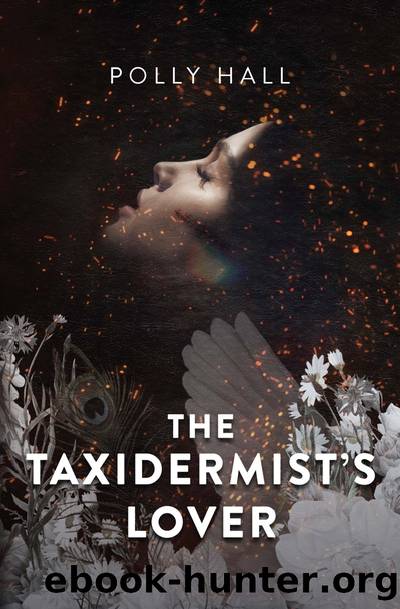 The Taxidermist's Lover by Polly Hall