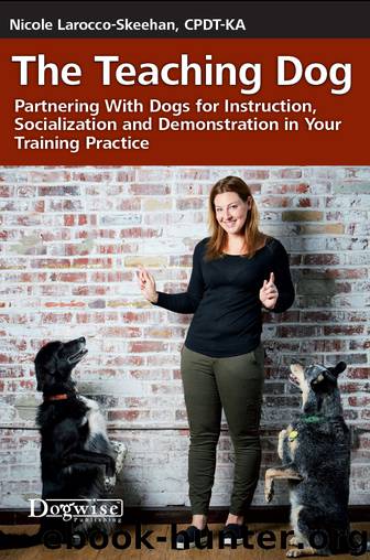 The Teaching Dog by Nicole Larocco-Skeehan