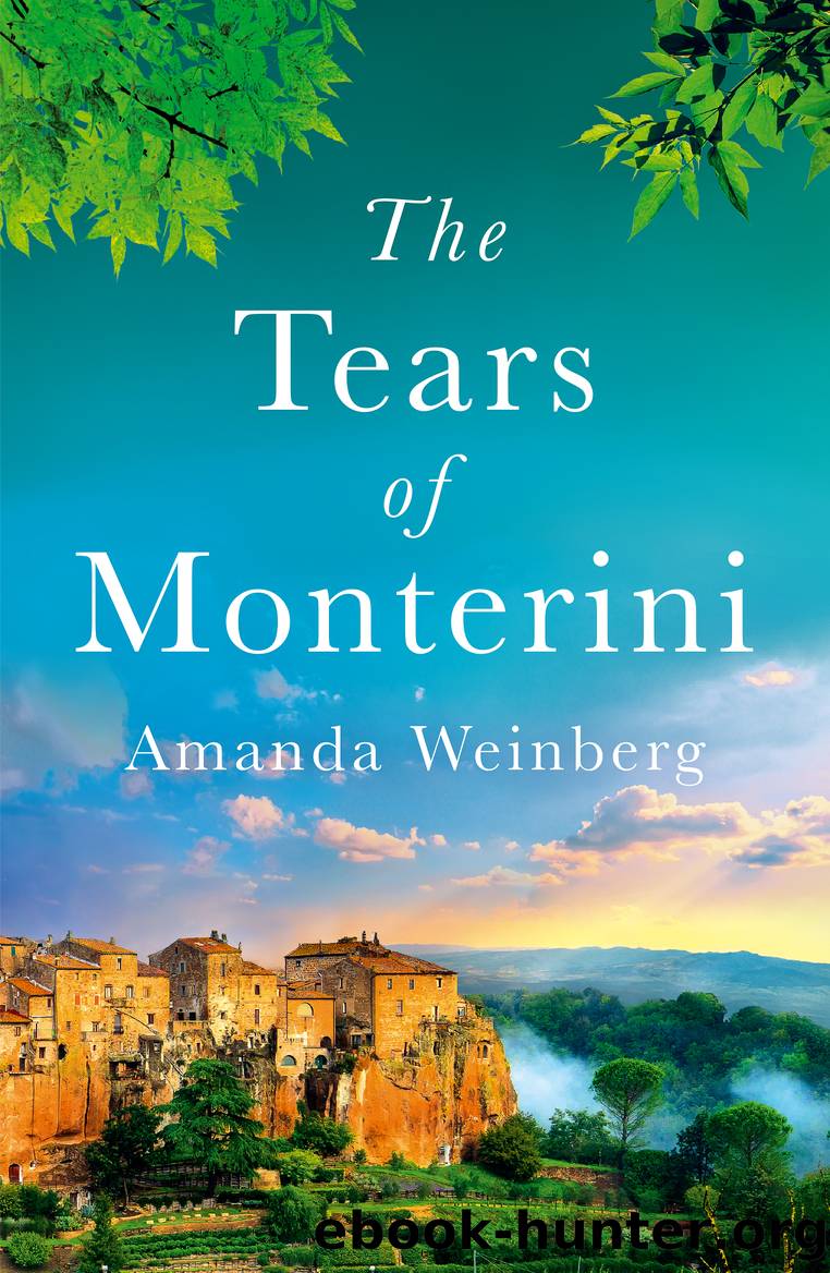 The Tears of Monterini by Amanda Weinberg