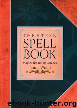 The Teen Spell Book by Jamie Wood