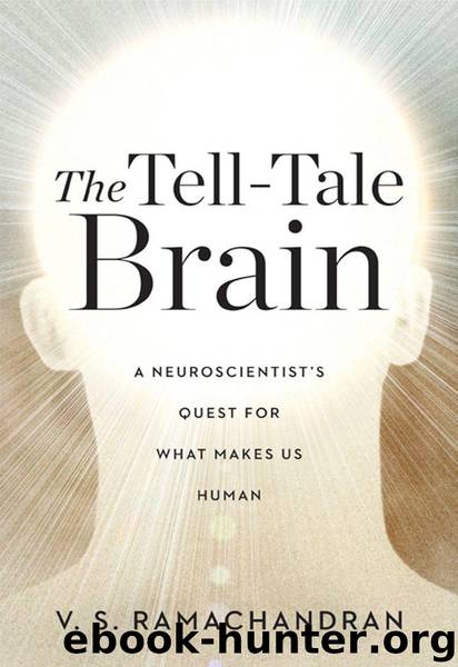 The Tell-Tale Brain: A Neuroscientist's Quest for What Makes Us Human by Ramachandran V. S