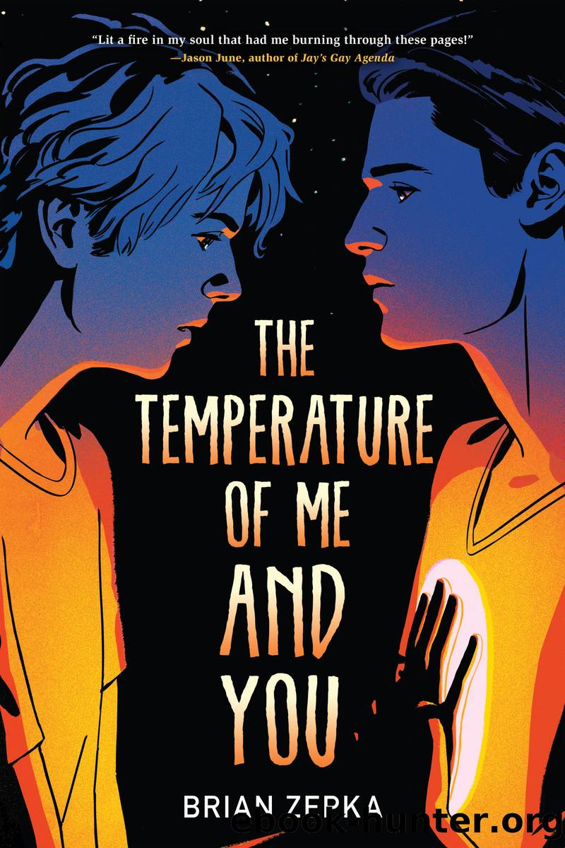 The Temperature of Me and You by Brian Zepka