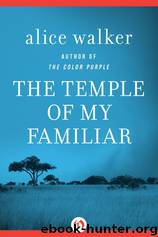 The Temple of My Familiar by Alice Walker