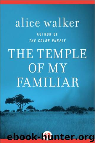 The Temple of My Familiar: A Novel by Alice Walker