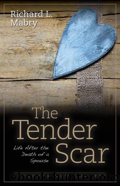 The Tender Scar by Richard L. Mabry
