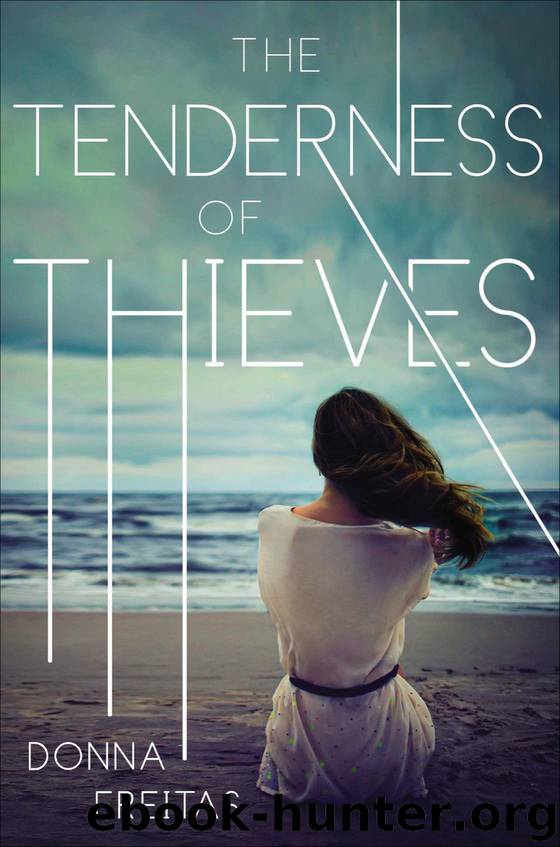 The Tenderness of Thieves by Freitas Donna