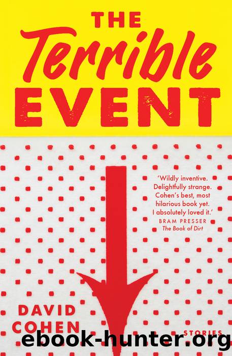 The Terrible Event by David Cohen