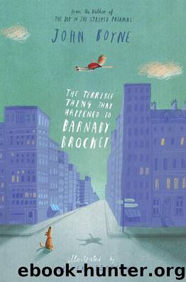 The Terrible Thing That Happened to Barnaby Brocket