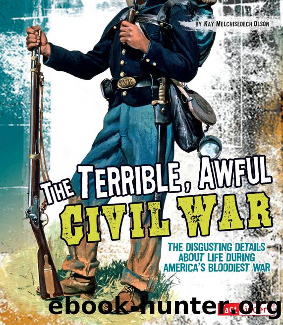 The Terrible, Awful Civil War by Kay Melchisedech Olson