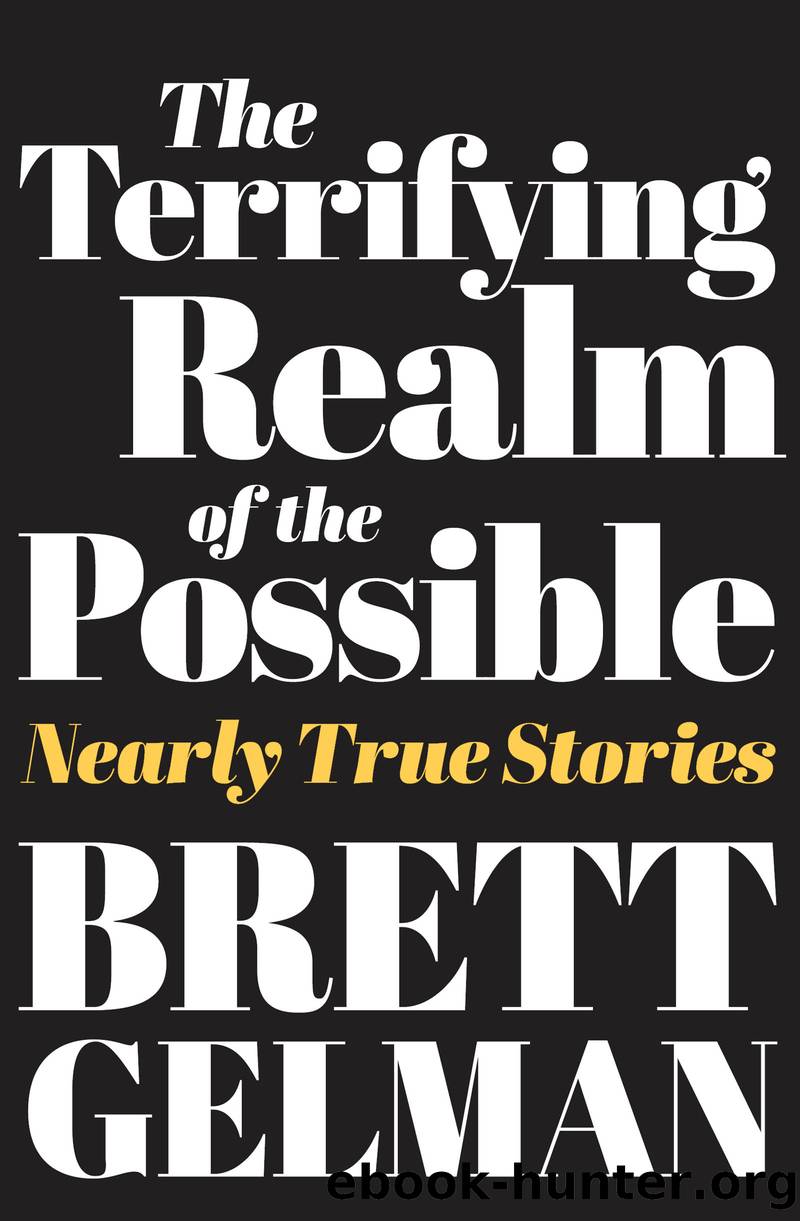 The Terrifying Realm of the Possible by Brett Gelman