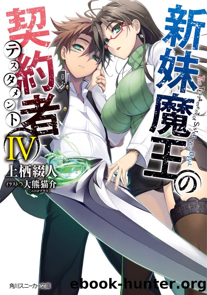 The Testament of Sister New Devil - Volume 04 by <Unknown>