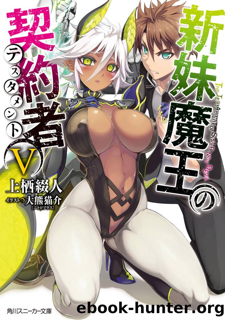The Testament of Sister New Devil - Volume 05 by <Unknown>