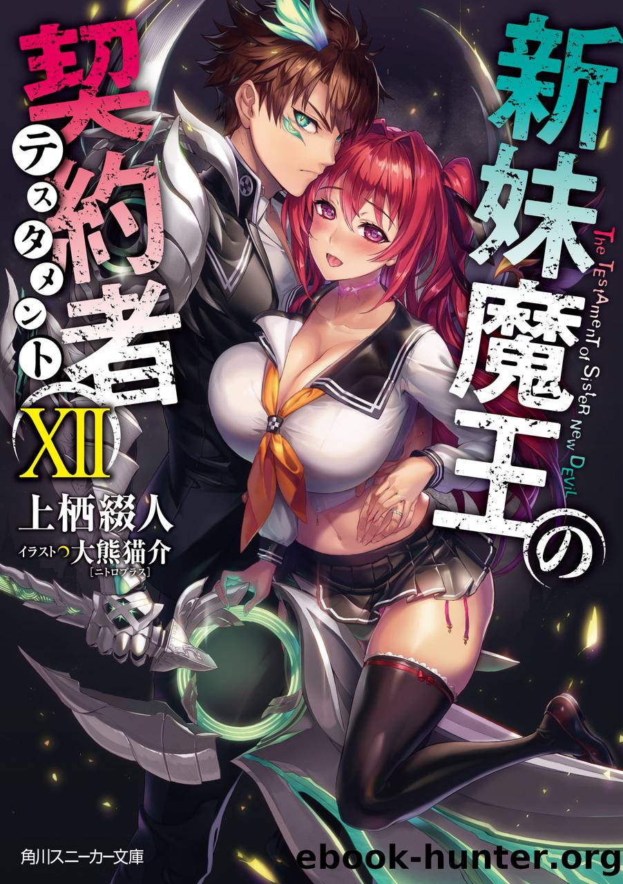 The Testament of Sister New Devil - Volume 12 by Tetsuto Uesu