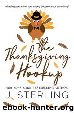 The Thanksgiving Hookup (Fun For the Holidays) by J. Sterling