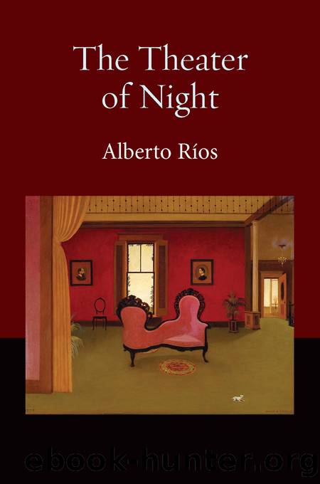 The Theater of Night by Alberto Ríos