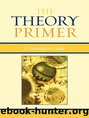 The Theory Primer by Mark A. Schneider