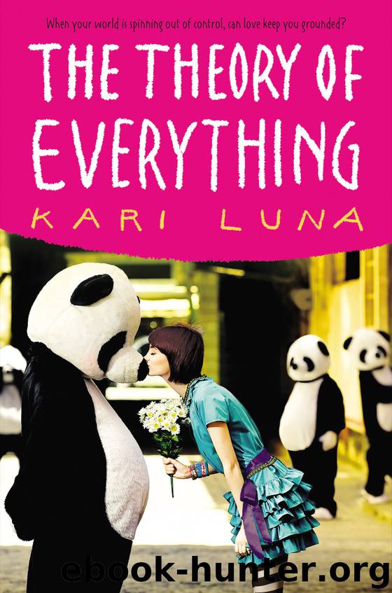 The Theory of Everything by Kari Luna