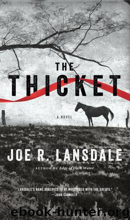 The Thicket by Joe R. Lansdale