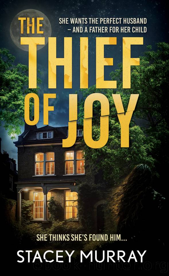 The Thief of Joy: A dark and twisty suspense novel about the dangers of comparing yourself to others by Stacey Murray