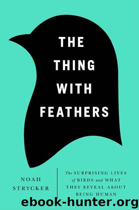 The Thing With Feathers: The Surprising Lives of Birds and What They Reveal About Being Human by Noah K. Strycker