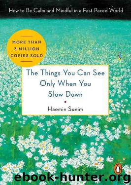 The Things You Can See Only When You Slow Down: How to Be Calm and Mindful in a Fast-Paced World by Haemin Sunim