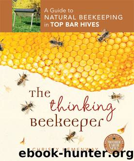 The Thinking Beekeeper by Christy Hemenway