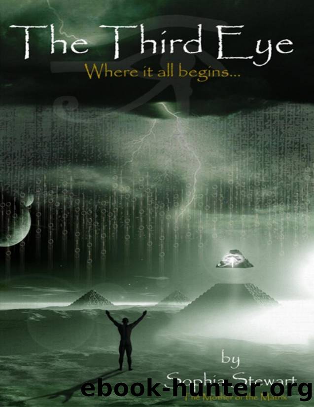 The Third Eye by Stewart Sophia