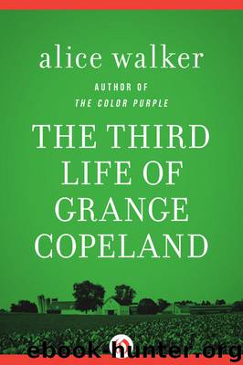 The Third Life of Grange Copeland: Novel by Alice Walker