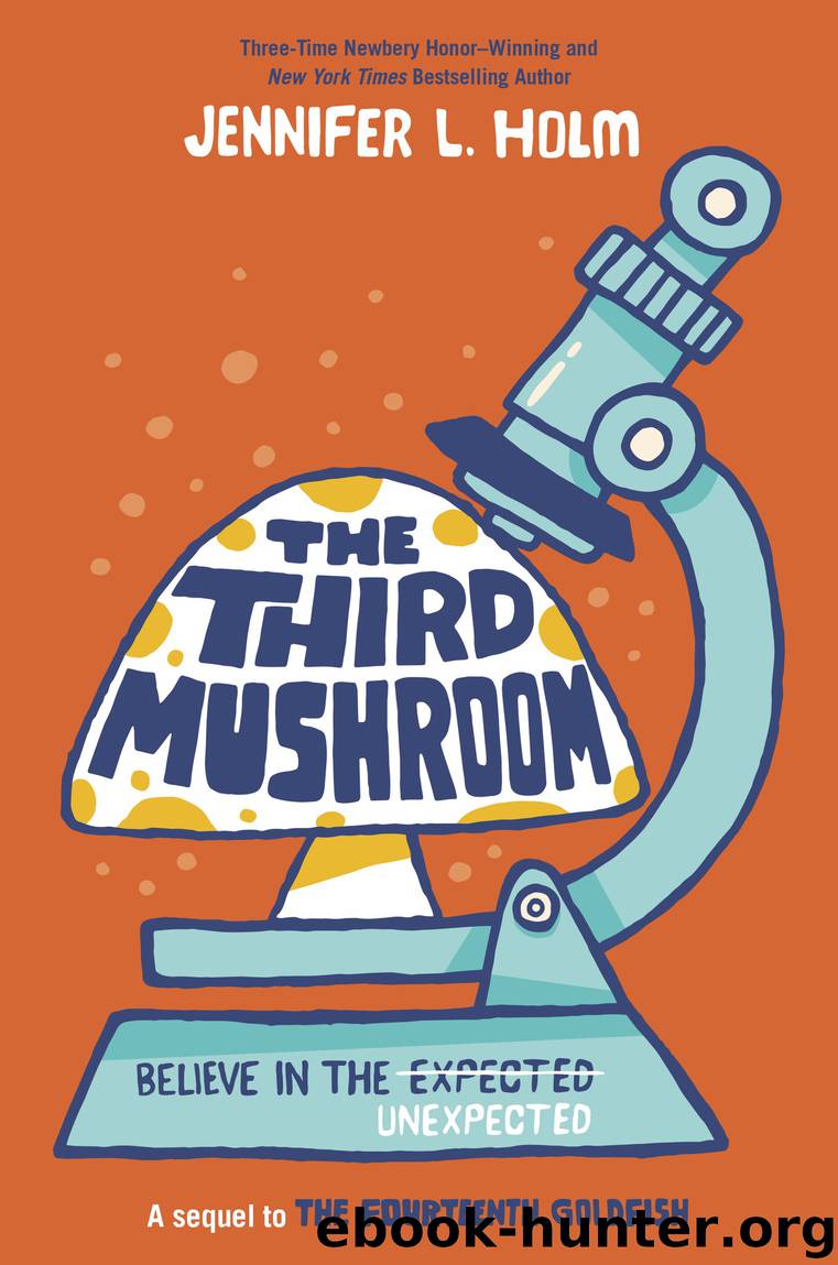 The Third Mushroom by Jennifer L. Holm