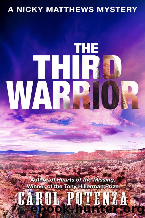 The Third Warrior by Carol Potenza