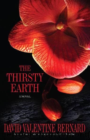 The Thirsty Earth by David Valentine Bernard