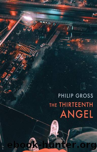 The Thirteenth Angel by Philip Gross