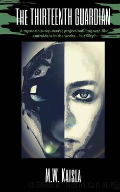 The Thirteenth Guardian by M.W. Kaisla