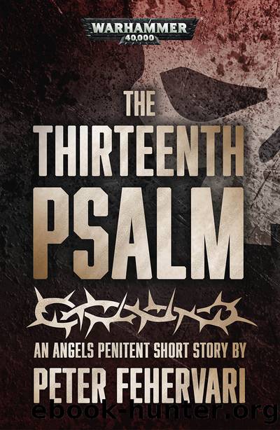 The Thirteenth Psalm by Peter Fehervari