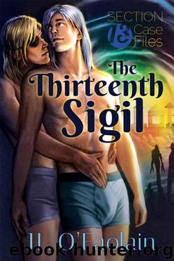 The Thirteenth Sigil (A Section Thirteen Story) by O'Faolain J.L