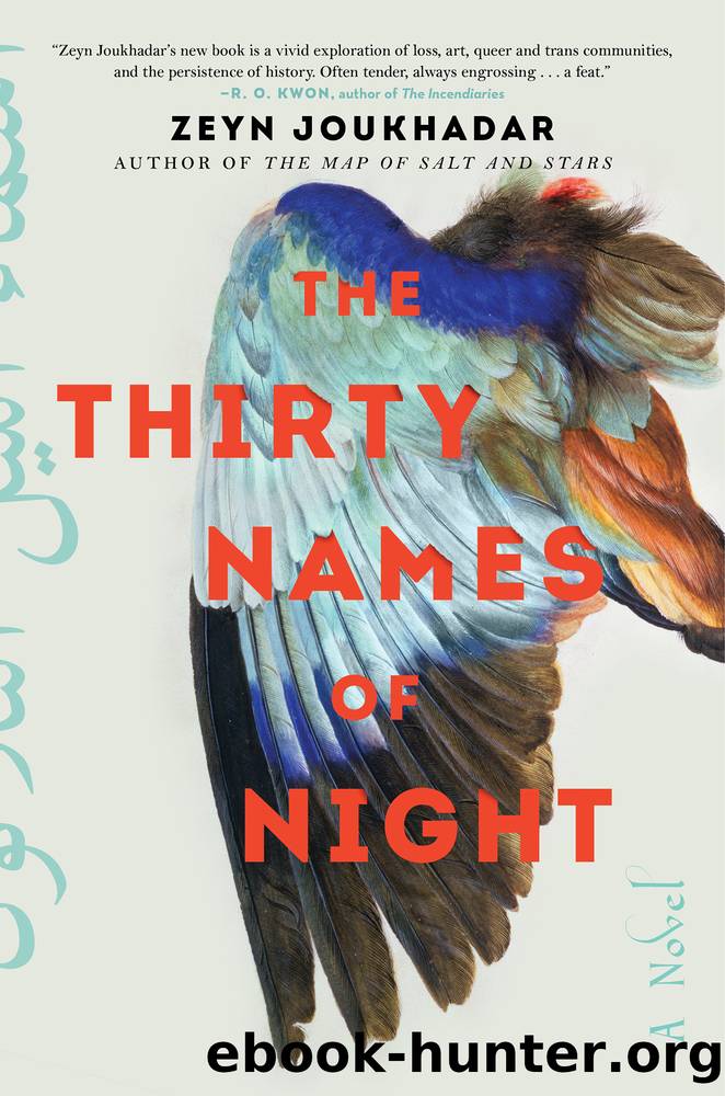 The Thirty Names of Night by Zeyn Joukhadar