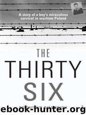 The Thirty-Six by Siegmund Siegreich