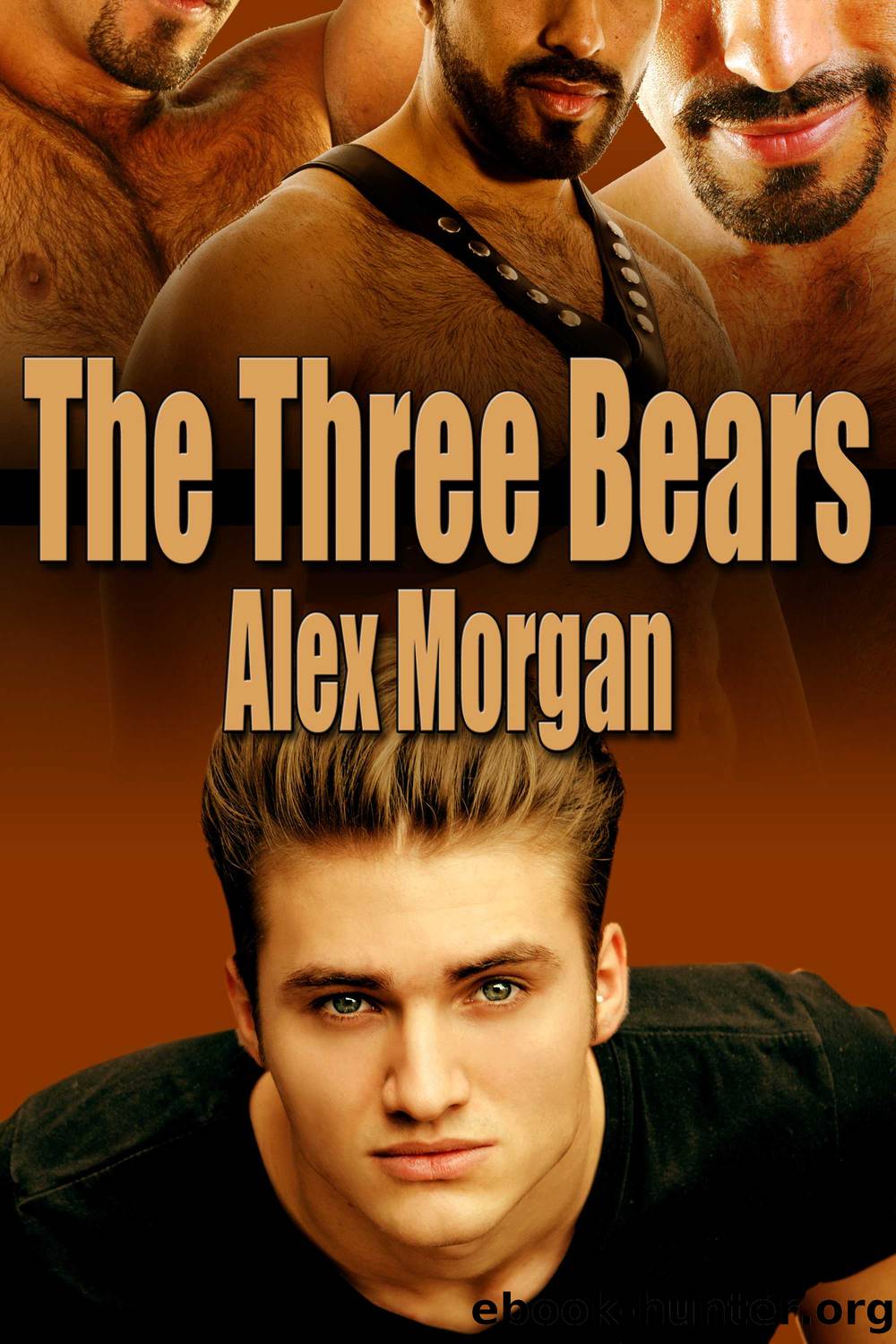 The Three Bears by Alex Morgan