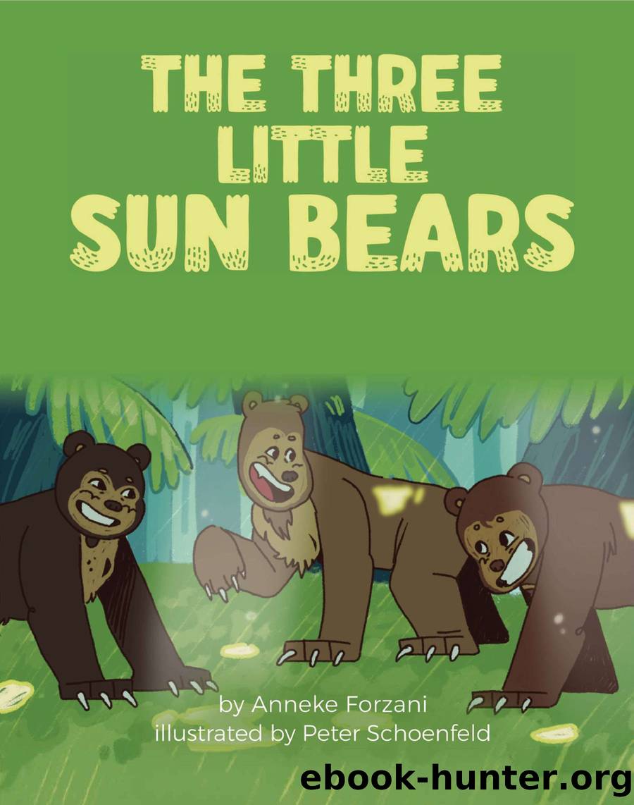 The Three Little Sun Bears by Anneke Forzani && Peter Schoenfeld