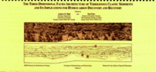 The Three-Dimensional Facies Architecture of Terrigenous Clastic Sediments and Its Implications for Hydrocarbon Discovery and Recovery (SEPM Concepts in Sedimentology & Paleontology 3) by Andrew D. Miall Noel Tyler