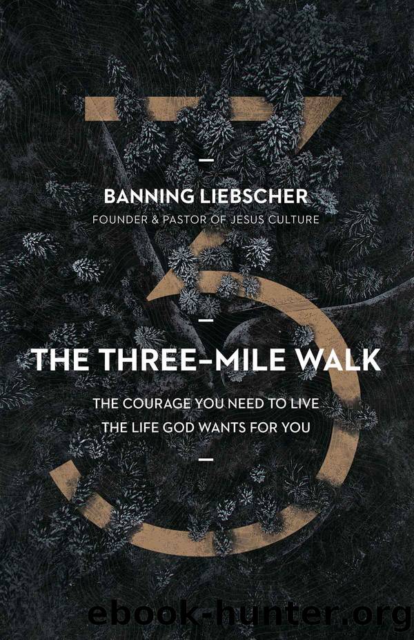 The Three-Mile Walk by Banning Liebscher