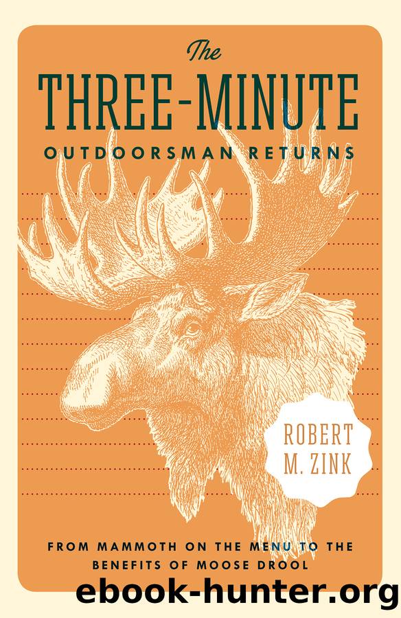 The Three-Minute Outdoorsman Returns by Robert M. Zink