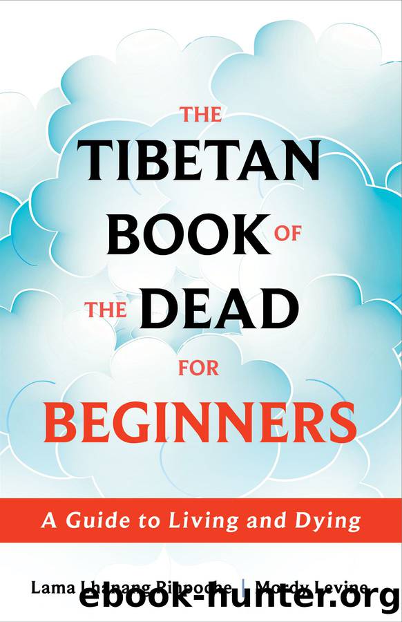 The Tibetan Book of the Dead for Beginners: A Guide to Living and Dying by Lama Lhanang Rinpoche & Mordy Levine